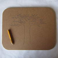 baobab design on board
