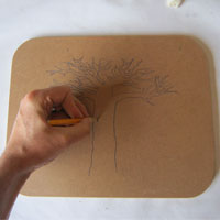 add detail to baobab tree