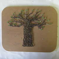 baobab tree leaves