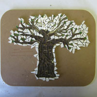 baobab tree border