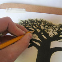 trace baobab branches