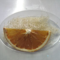 arrange natural embellishments in soap mould