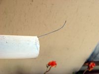  feed wire
