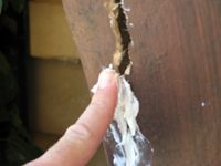 spreading glue