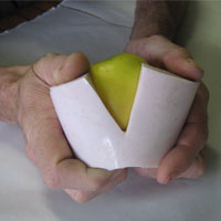 silicone mould