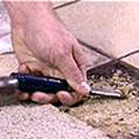 chisel adhesive