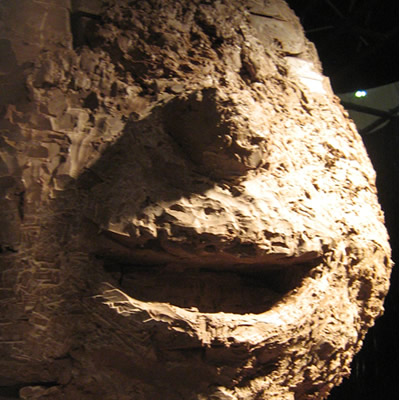 face with more detail