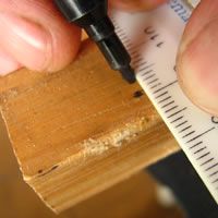 measure