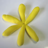 place petals