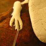 make lizzard toes
