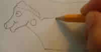 Draw your template