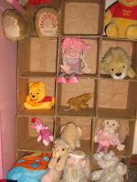 cardboard box shelves