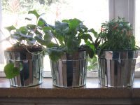 pots