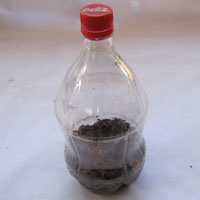 recycled plastic coke bottle terrarium