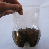sand in coke bottle