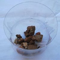 stones in recycled coke bottle