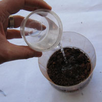 add water to recycled coke bottle
