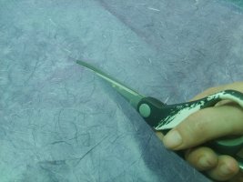 cut tissue paper